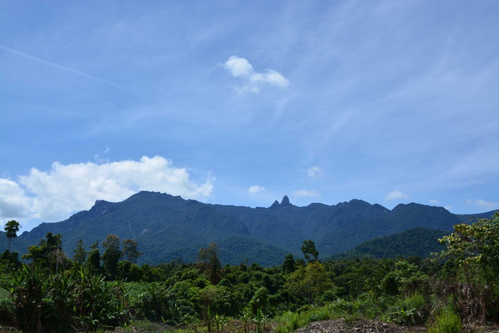 “Fight” with deep forests and mountain waves to conquer Vong Phu islet ...