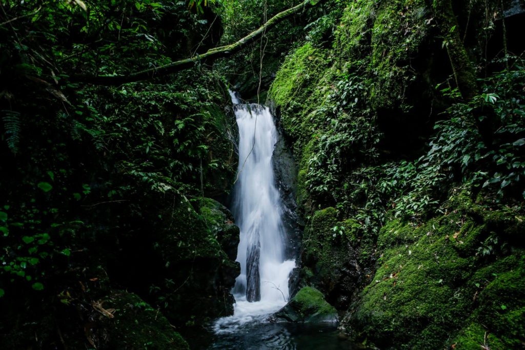 Ta Dung National Park A Challenging To The Summit Expeditor